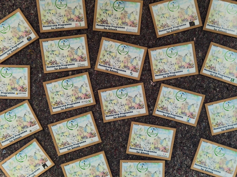 548029259_798946629335552_229808842108710516_n