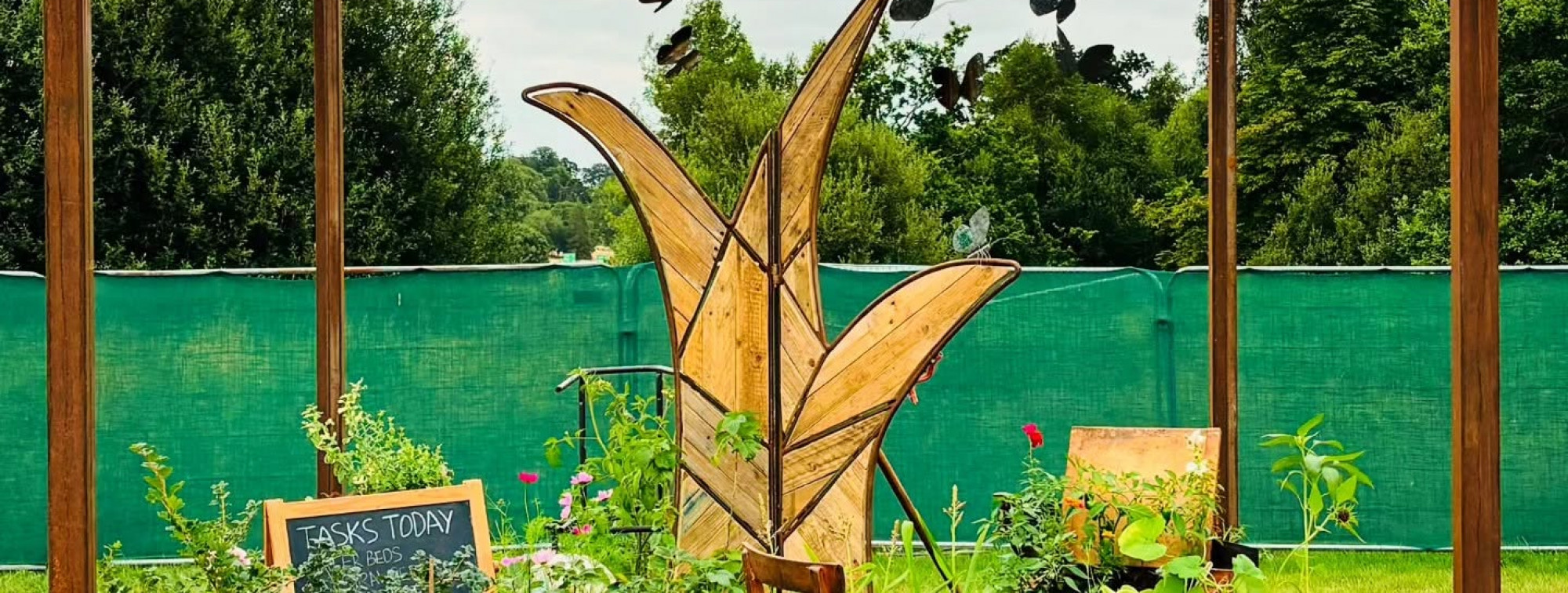 RHS Sandringham Flower Show (Community Cube) (1)